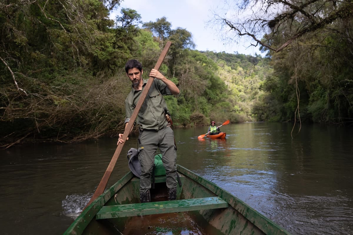 A cuarenta kilómetros de El Soberbio, una reserva se apoya sobre el arroyo Paraíso y teje un turismo de restauración en plena selva paranaense