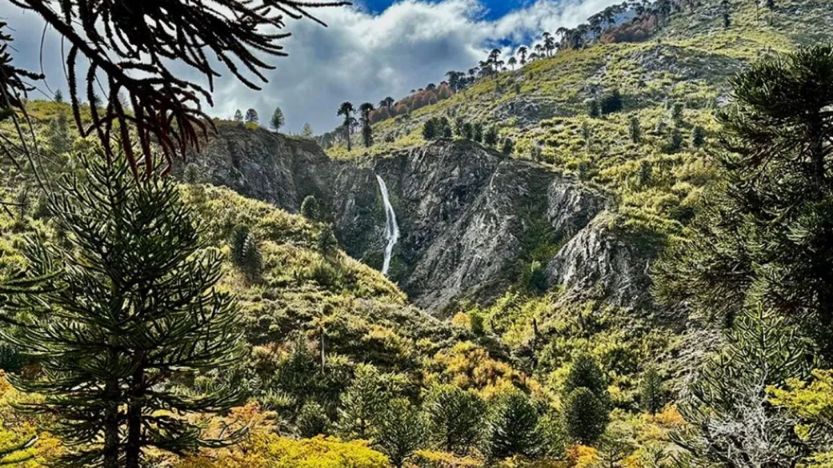 Pulmarí sale a cruzar mensajes sobre ventas de lotes: "Mucho cuidado con la seña, acá no se vende"
