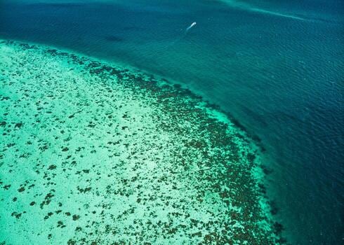 Cayo Ambergris: dos formas de llegar a San Pedro y un mar que obliga a sacar la cámara