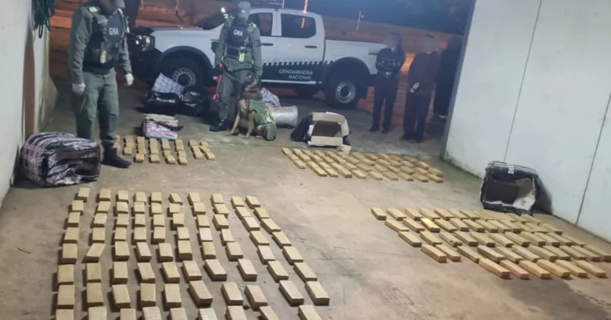 Secuestran más de 142 kilos de marihuana en un ómnibus de larga distancia que había partido de Puerto Iguazú