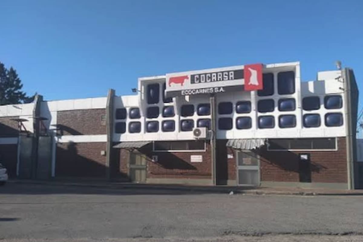 Ecocarnes: la planta de San Fernando opera con un tercio de su capacidad y suma 5866 millones en cheques rechazados