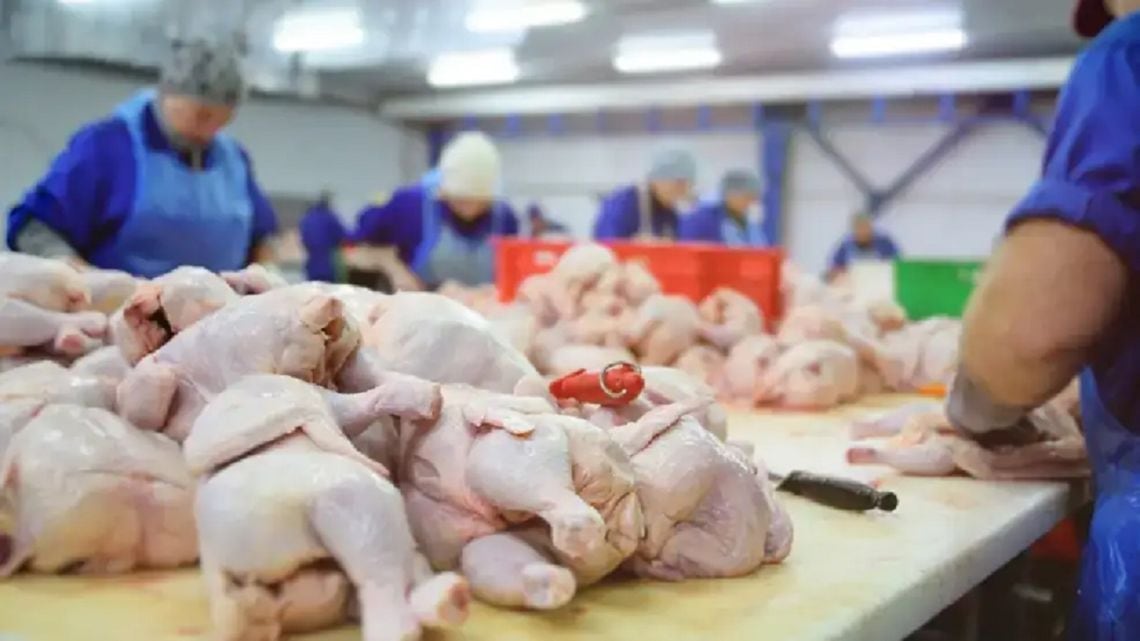 Por primera vez en la historia, el kilo de pollo le ganó la pulseada al de carne vacuna en la mesa de los argentinos