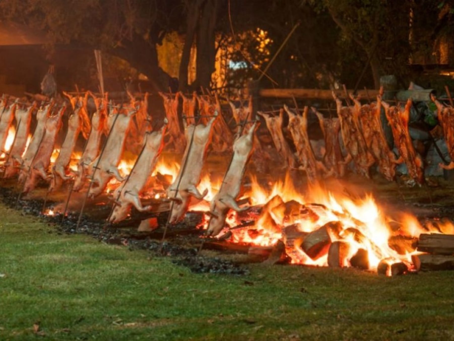 Cinco fiestas, un solo feriado: la agenda completa para recorrer Buenos Aires del 10 al 12 de octubre
