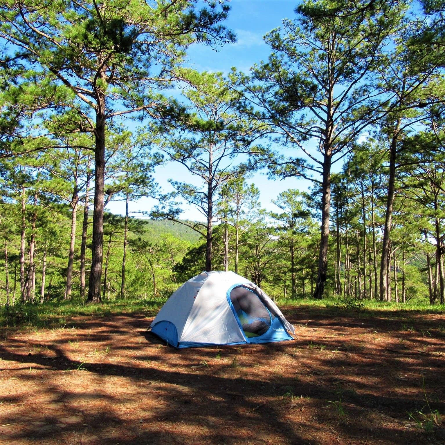 A 1.150 kilómetros de Posadas, Mar Azul recibe al primer camping Huttopia de Latinoamérica con parcelas desde 36.000 pesos la noche