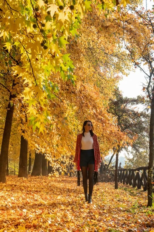 Otoño en Europa: doce capitales con más aire, color y visitas sin multitudes